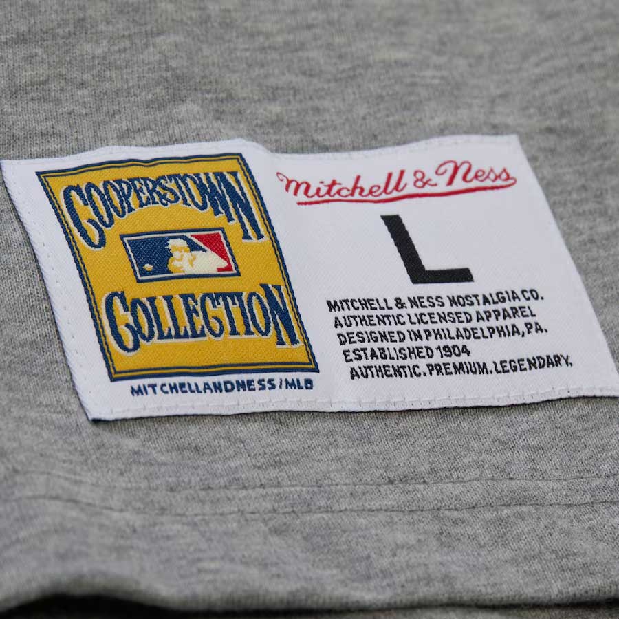 Chicago Cubs Mitchell & Ness Heritage Collection Premium Short Sleeve T-Shirt - Image 4