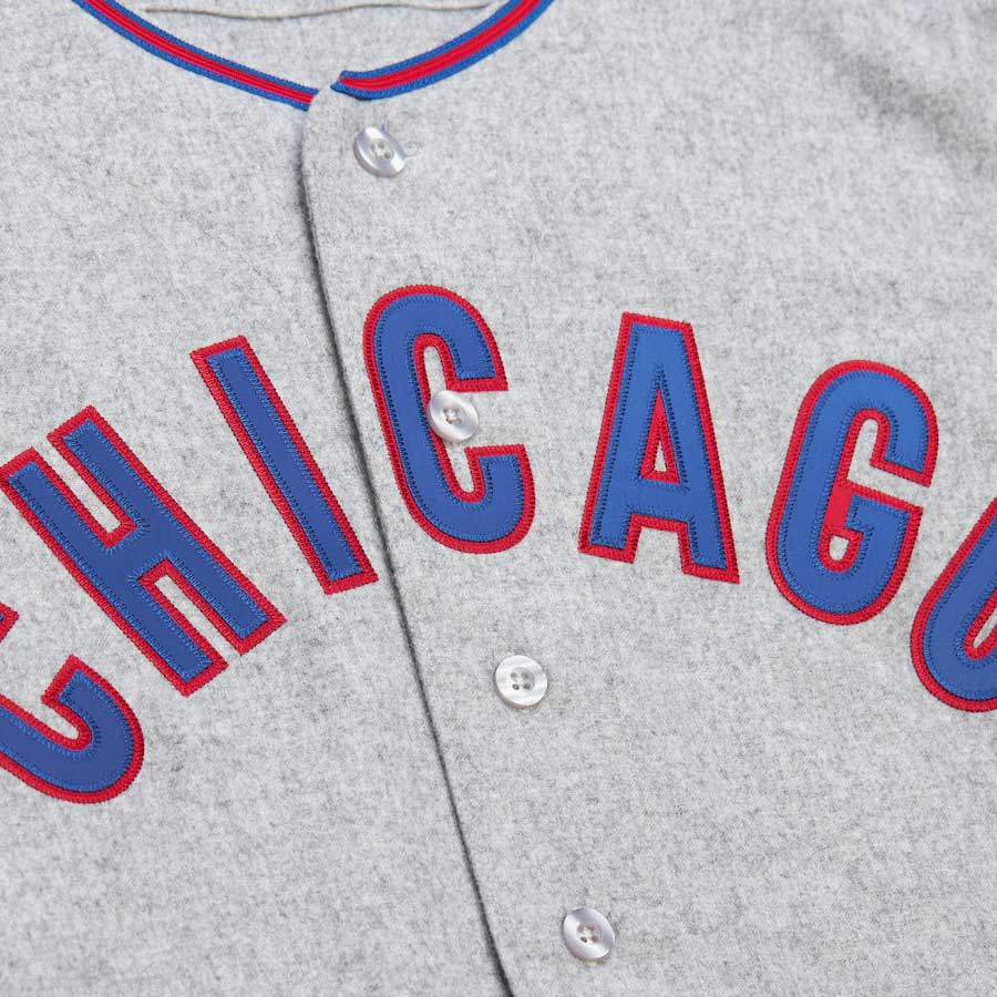 Chicago Cubs Ron Santo 1968 Mitchell & Ness Authentic Road Jersey - Image 6