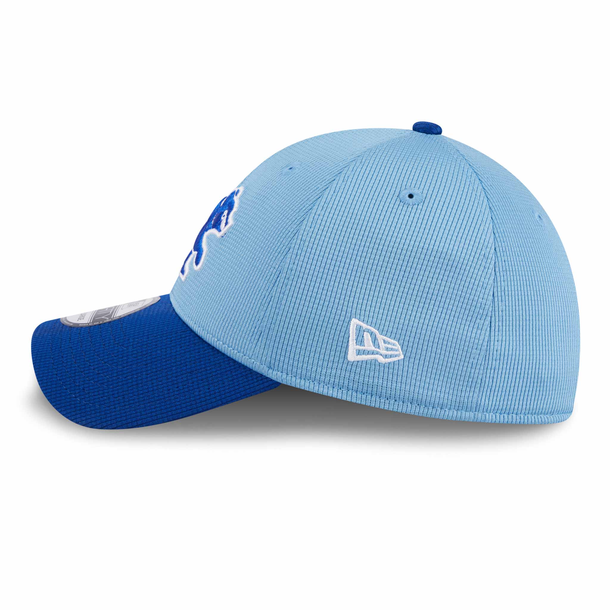 Chicago Cubs Youth 2024 Spring Training 39THIRTY Stretch Fitted Cap - Image 3
