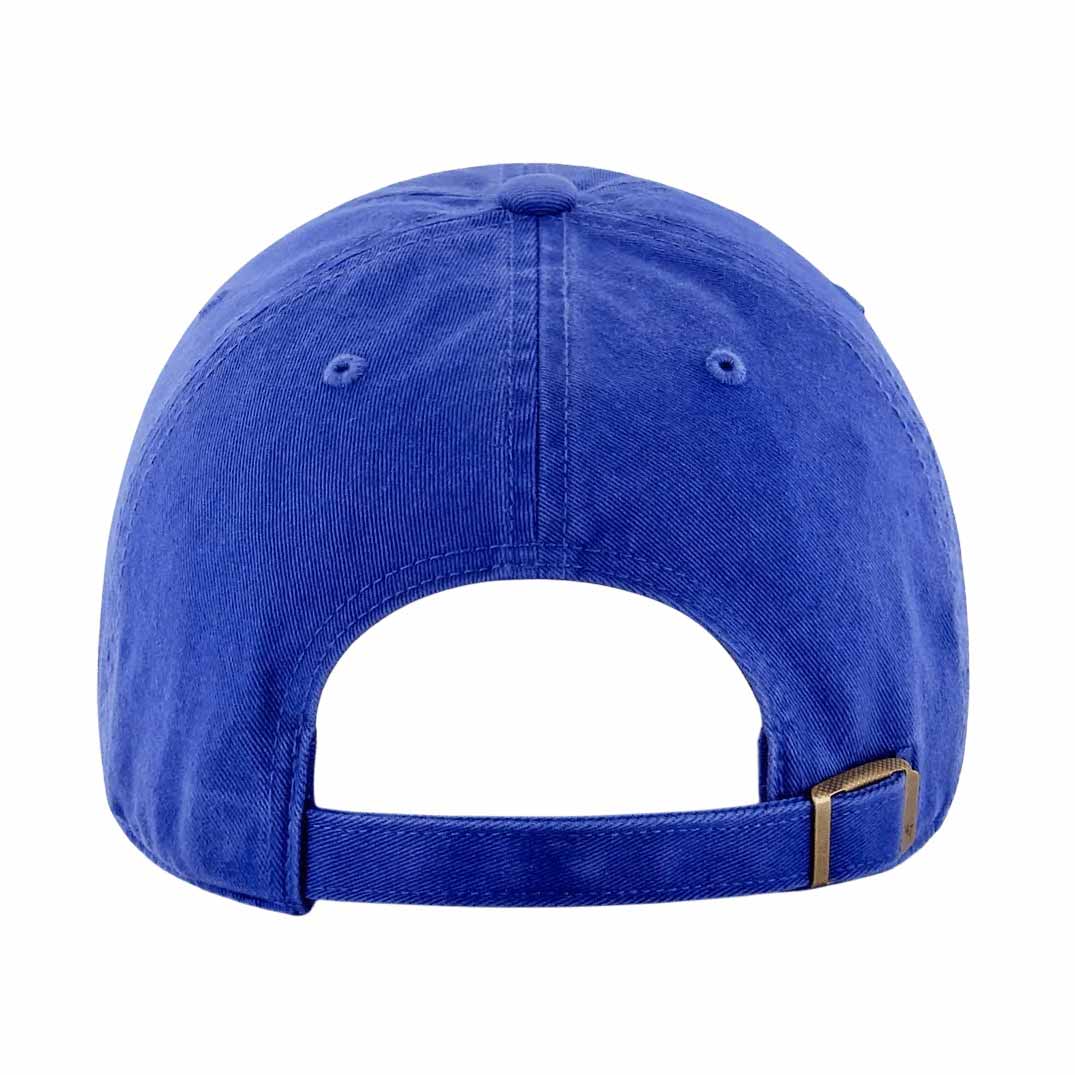 The Ryno Obvious Shirts Adjustable Dad Cap - Image 2